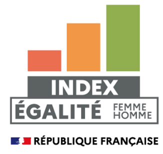 Index d&rsquo;&eacute;galit&eacute; professionnelle femmes-hommes
